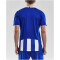 CRAFT Progress Stripe Trikot Herren 1346 - club cobolt S