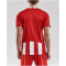 CRAFT Progress Stripe Trikot Herren 1430 - bright red XS