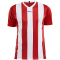 CRAFT Progress Stripe Trikot Herren 1430 - bright red S