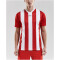 CRAFT Progress Stripe Trikot Herren 1430 - bright red M