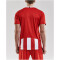 CRAFT Progress Stripe Trikot Herren 1430 - bright red M