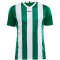 CRAFT Progress Stripe Trikot Herren 1651 - team green XS