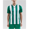 CRAFT Progress Stripe Trikot Herren 1651 - team green XS