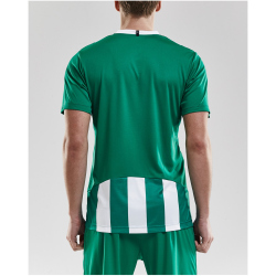 CRAFT Progress Stripe Trikot Herren 1651 - team green S