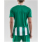 CRAFT Progress Stripe Trikot Herren 1651 - team green S