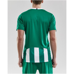 CRAFT Progress Stripe Trikot Herren 1651 - team green XXL
