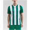 CRAFT Progress Stripe Trikot Herren 1651 - team green XXL