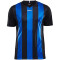 CRAFT Progress Stripe Trikot Herren 9345 - black/royal blue XS