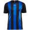 CRAFT Progress Stripe Trikot Herren 9345 - black/royal blue S