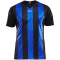 CRAFT Progress Stripe Trikot Herren 9346 - black/club cobolt S