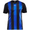 CRAFT Progress Stripe Trikot Herren 9346 - black/club cobolt L