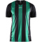 CRAFT Progress Stripe Trikot Herren 9651 - black/team green S