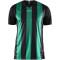CRAFT Progress Stripe Trikot Herren 9651 - black/team green M