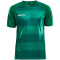 CRAFT Progress Graphic Trikot Herren 1651 - team green XS