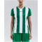 CRAFT Progress Stripe Trikot Damen 1651 - team green XS