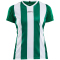 CRAFT Progress Stripe Trikot Damen 1651 - team green XS