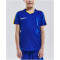 CRAFT Progress Contrast Trikot Kinder 2346 - club cobolt/sweden yellow 158/164