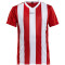 CRAFT Progress Stripe Trikot Kinder 1430 - bright red 122/128