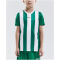 CRAFT Progress Stripe Trikot Kinder 1651 - team green 122/128