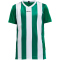 CRAFT Progress Stripe Trikot Kinder 1651 - team green 134/140