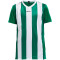 CRAFT Progress Stripe Trikot Kinder 1651 - team green 158/164
