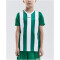 CRAFT Progress Stripe Trikot Kinder 1651 - team green 158/164