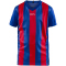 CRAFT Progress Stripe Trikot Kinder 3346 - club cobolt/bright red 122/128