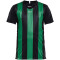 CRAFT Progress Stripe Trikot Kinder 9651 - black/team green 158/164