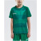 CRAFT Progress Graphic Trikot Kinder 1651 - team green 146/152