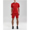 CRAFT Progress Practise Trainingsshirt Herren 1430 - bright red XL