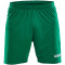 CRAFT Squad Solid Shorts mit Innenslip Herren 1651 - team green M
