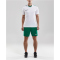 CRAFT Progress Contrast Shorts mit Innenslip Herren 1651 - team green S