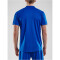 CRAFT Pro Control Button Trikot Herren 346900 - club cobolt/white XS