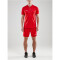CRAFT Pro Control Button Trikot Herren 430900 - bright red/white L