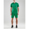 CRAFT Pro Control Button Trikot Herren 651900 - team green/white XS
