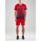 CRAFT Pro Control Stripe Trikot Herren 430390 - bright red/navy XS