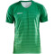 CRAFT Pro Control Stripe Trikot Herren 651606 - team green/craft green L