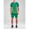CRAFT Pro Control Stripe Trikot Herren 651606 - team green/craft green XL