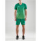 CRAFT Pro Control Stripe Trikot Herren 651606 - team green/craft green XL
