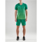 CRAFT Pro Control Stripe Trikot Herren 651606 - team green/craft green 3XL