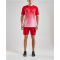 CRAFT Pro Control Fade Trikot Herren 430900 - bright red/white S