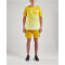 CRAFT Pro Control Fade Trikot Herren 552999 - sweden yellow/black S