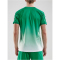 CRAFT Pro Control Fade Trikot Herren 651900 - team green/white XXL