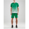 CRAFT Pro Control Fade Trikot Herren 651900 - team green/white XXL