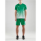 CRAFT Pro Control Fade Trikot Herren 651900 - team green/white XXL