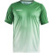 CRAFT Pro Control Fade Trikot Herren 651900 - team green/white 3XL