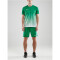 CRAFT Pro Control Fade Trikot Herren 651900 - team green/white 3XL