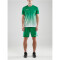 CRAFT Pro Control Fade Trikot Herren 651900 - team green/white 3XL