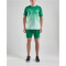 CRAFT Pro Control Fade Trikot Herren 651900 - team green/white 3XL