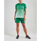CRAFT Pro Control Fade Trikot Damen 651900 - team green/white XL